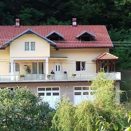 Guesthouse Stanojevic Guča Exterior foto