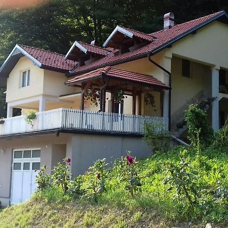 Guesthouse Stanojevic Guča Exterior foto