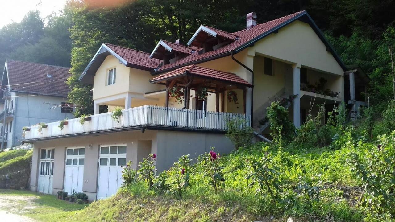 Guesthouse Stanojevic Guča Exterior foto